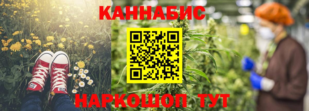 Каннабис OG Kush Серпухов